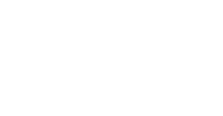 CyberInvestigative